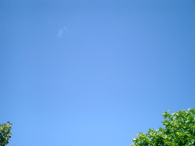 CIMG0211