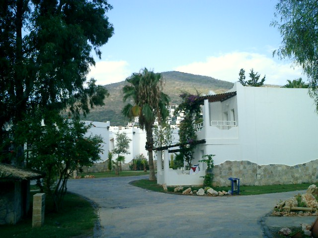 CIMG0023
