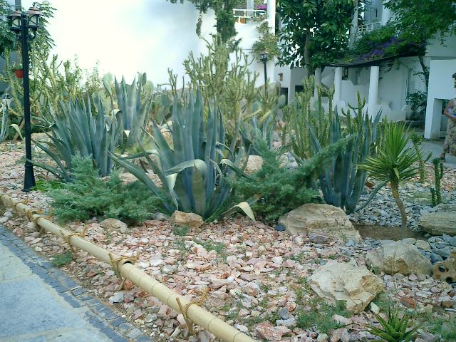 CIMG0024