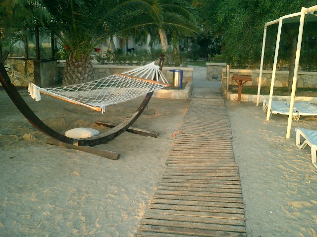 CIMG0082