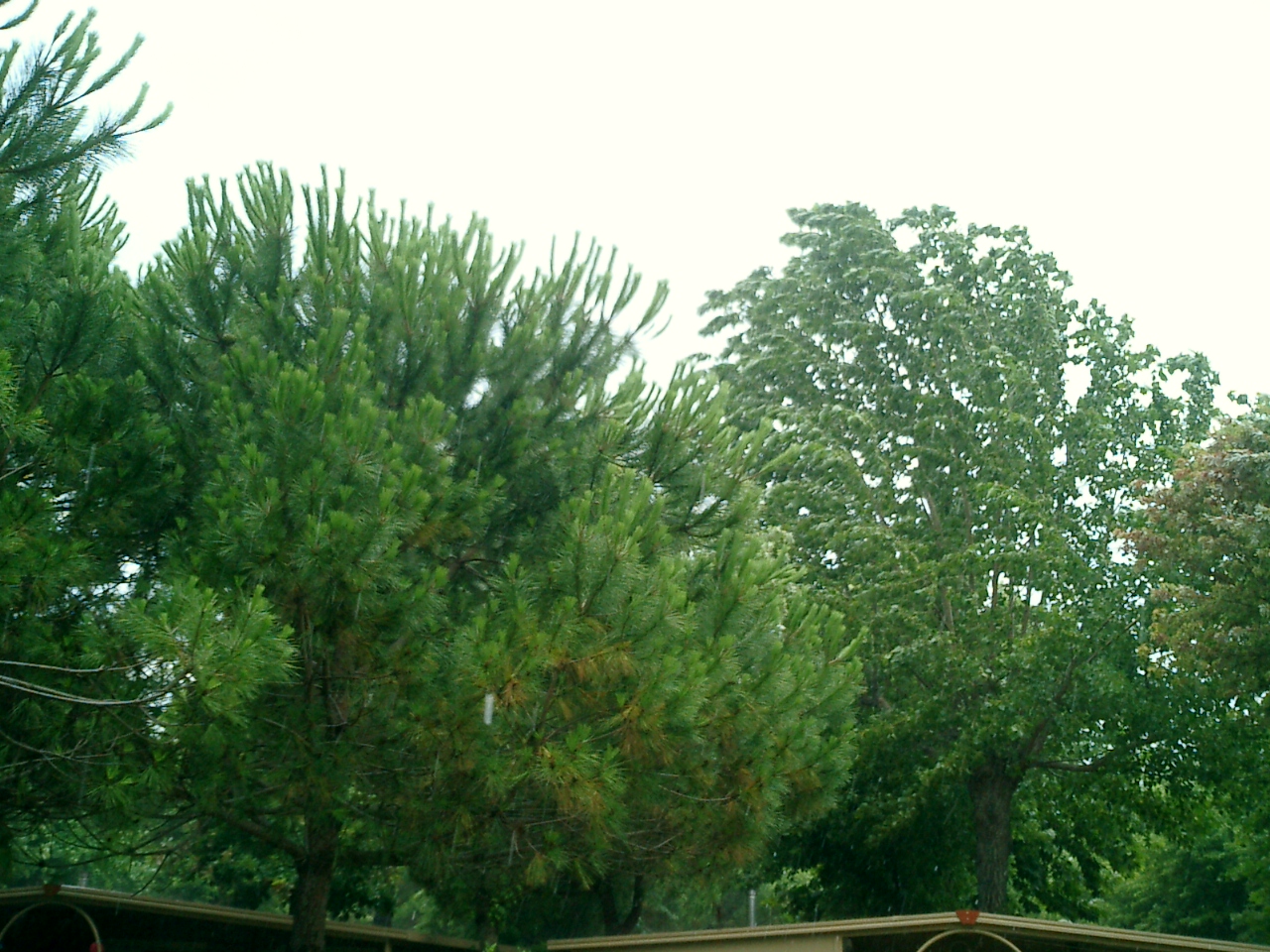 CIMG0259