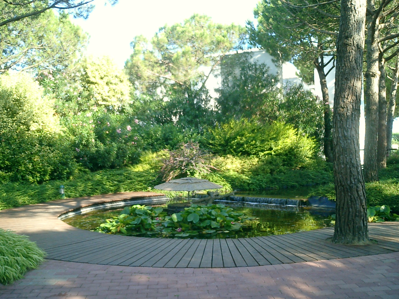 CIMG0262