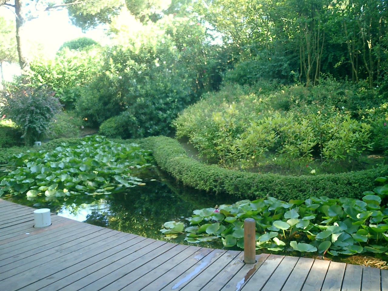 CIMG0263