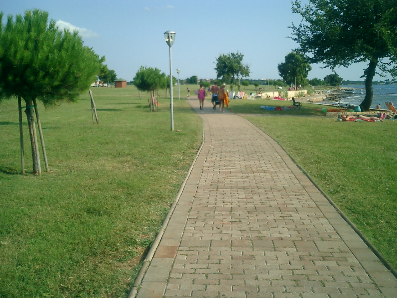 CIMG0239