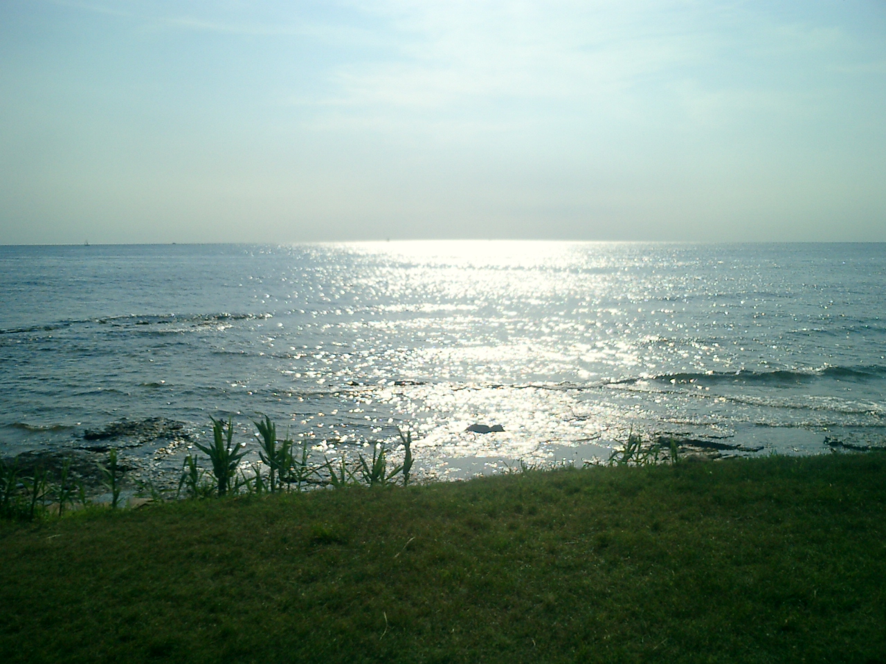 CIMG0240