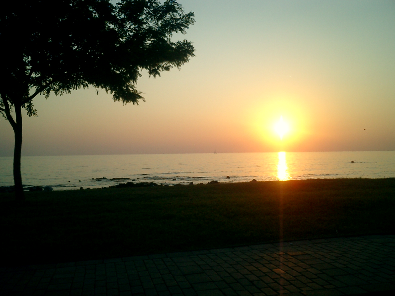 CIMG0294
