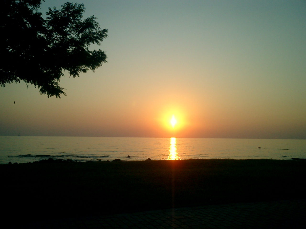CIMG0297