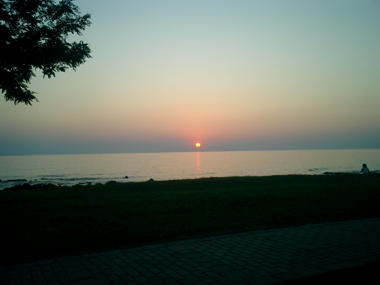 CIMG0324
