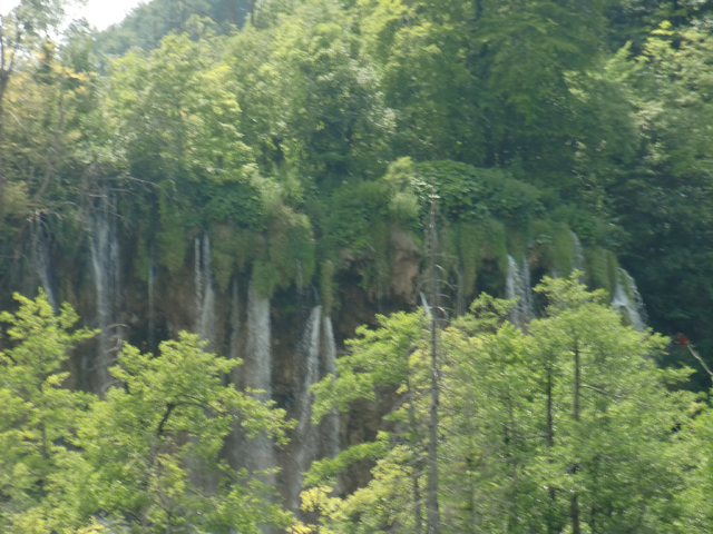CIMG2009