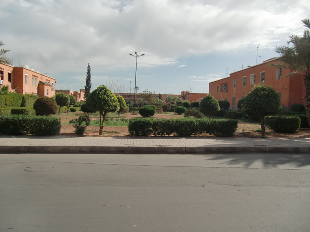 CIMG2381