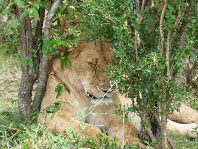 P1010887
