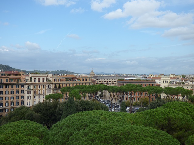 P1030548
